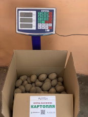 Коробка з картоплею
