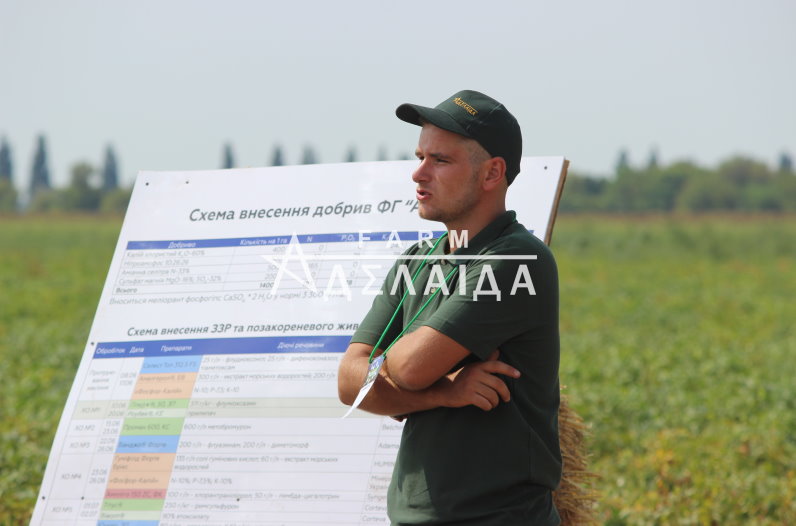 Fertilizers for potatoes - the norm, application