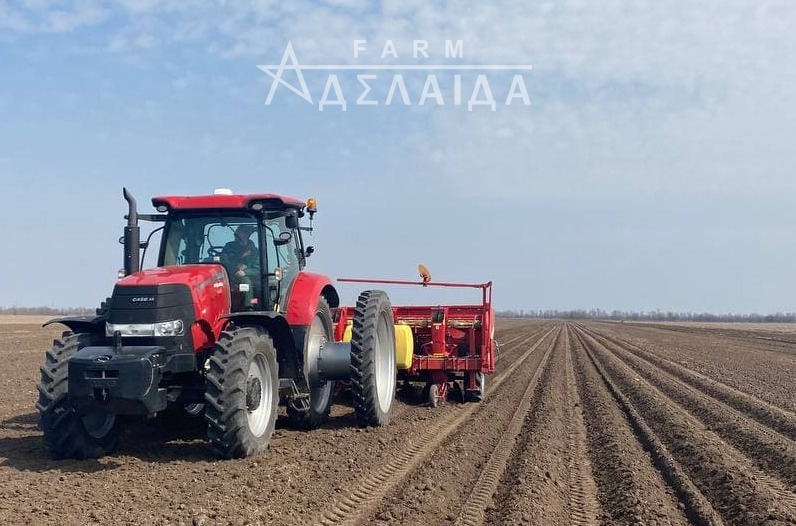 Planting potatoes, methods and techniques