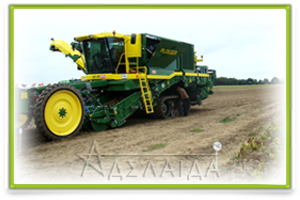 Potato harvesting technology