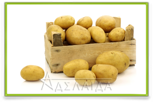 Правильна підготовка картоплі, заставу врожаю
