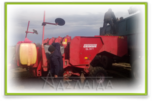 Fungicide treatments for growing early potatoes